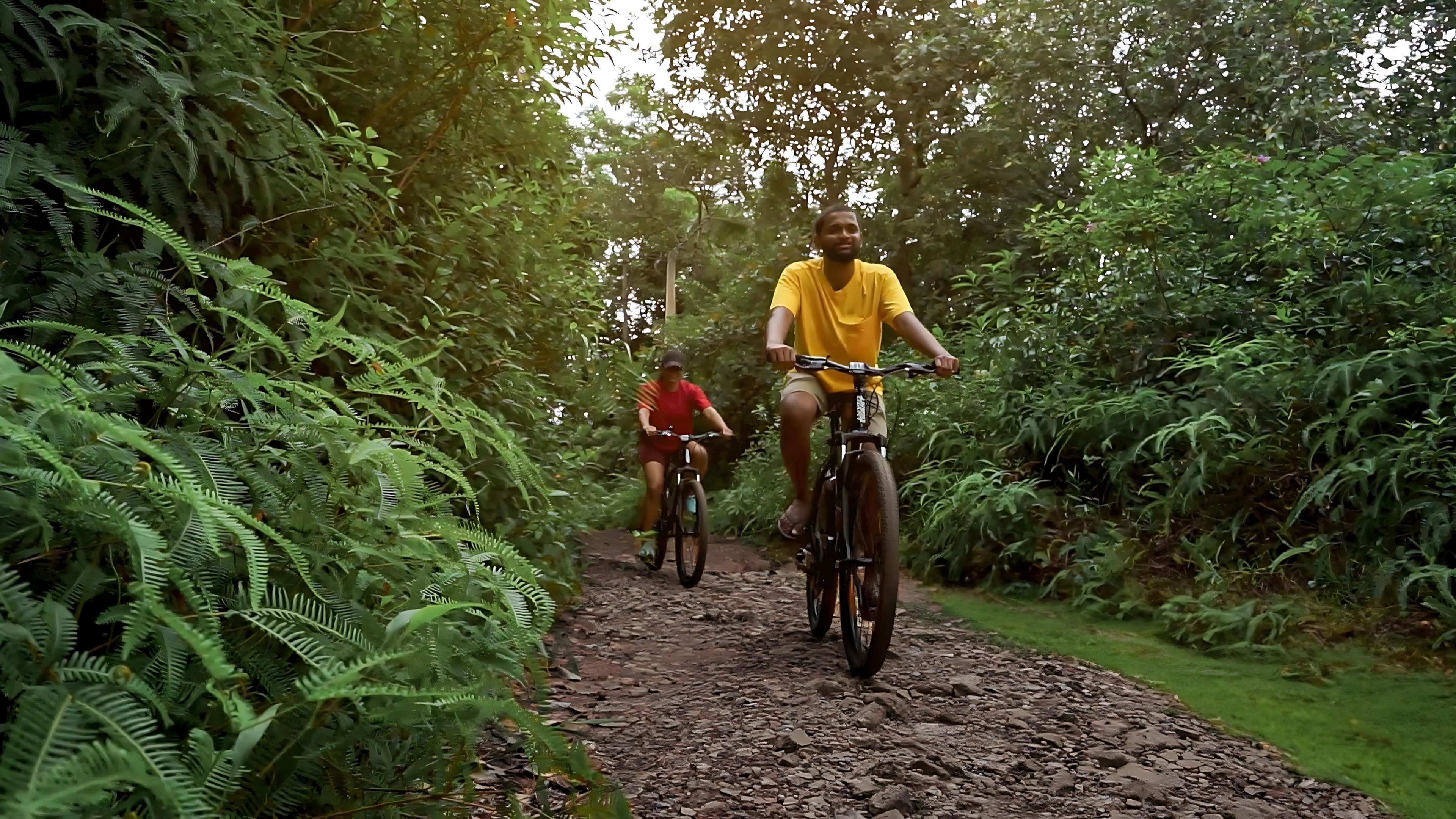 Two people riding bicycles on a rocky path surrounded by dense green foliage.