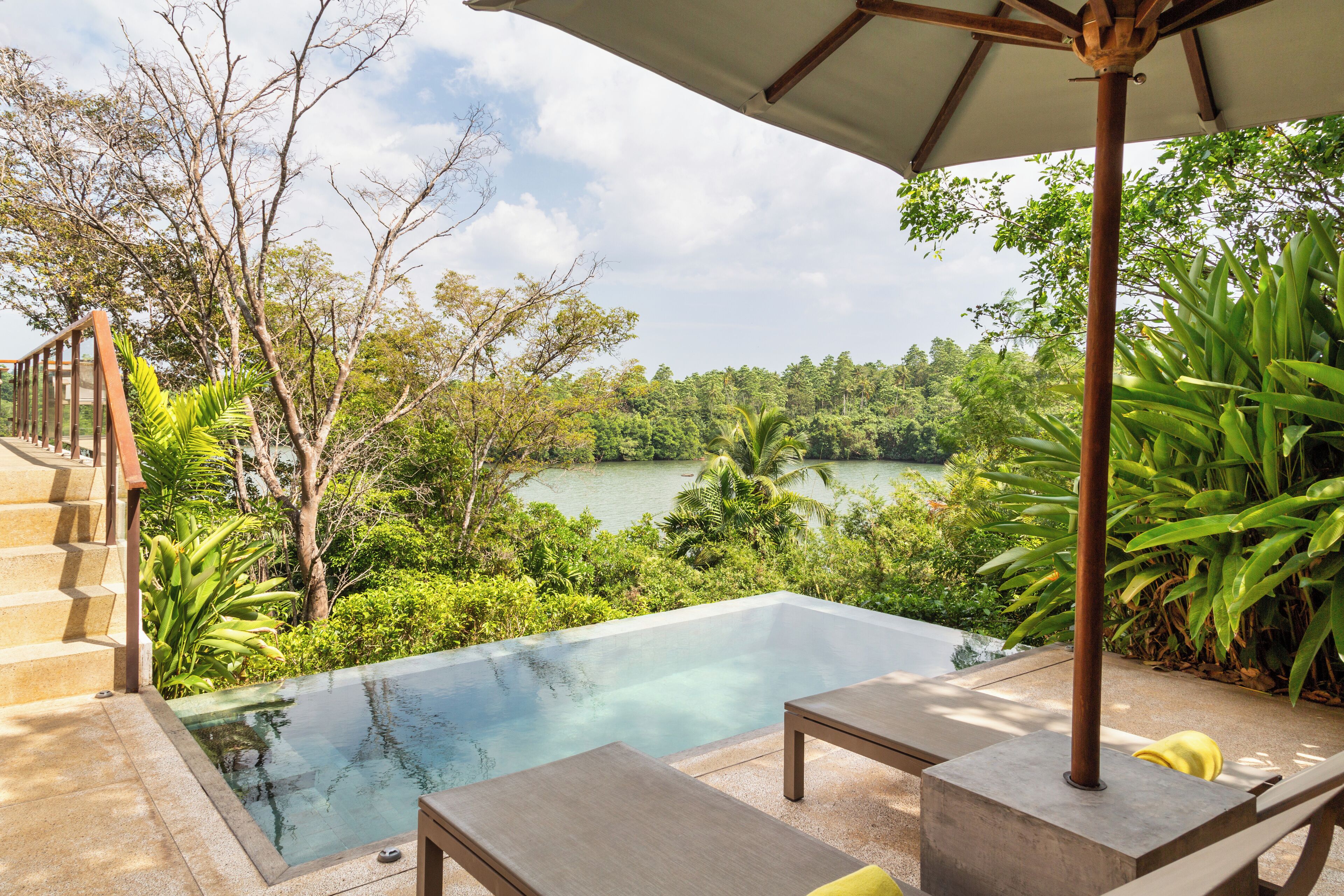 Piscina infinita con vistas a un lago, rodeada de exuberante vegetación y una escalera de madera.