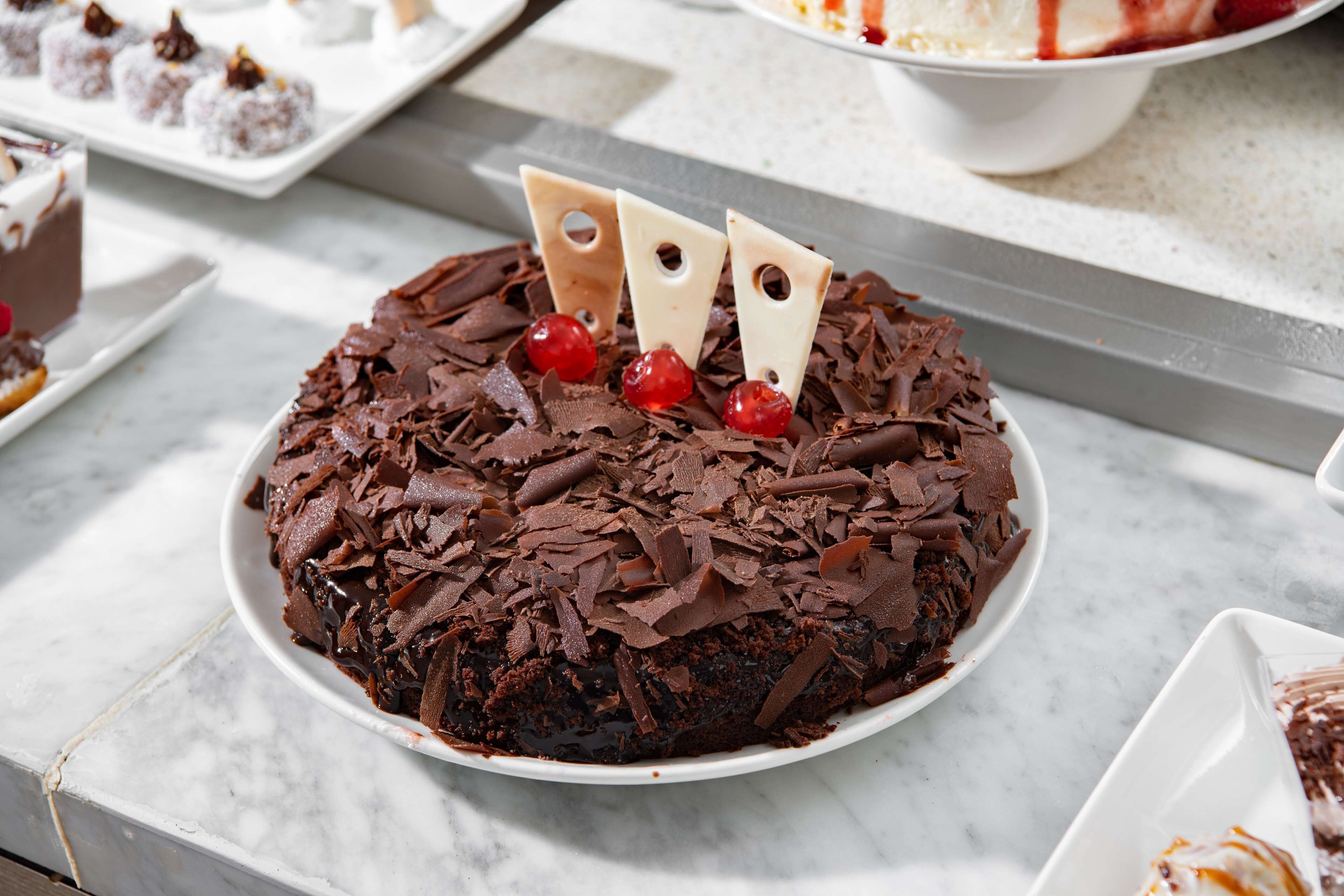 A chocolate cake with decorative chocolate pieces and red berries on a white plate.
