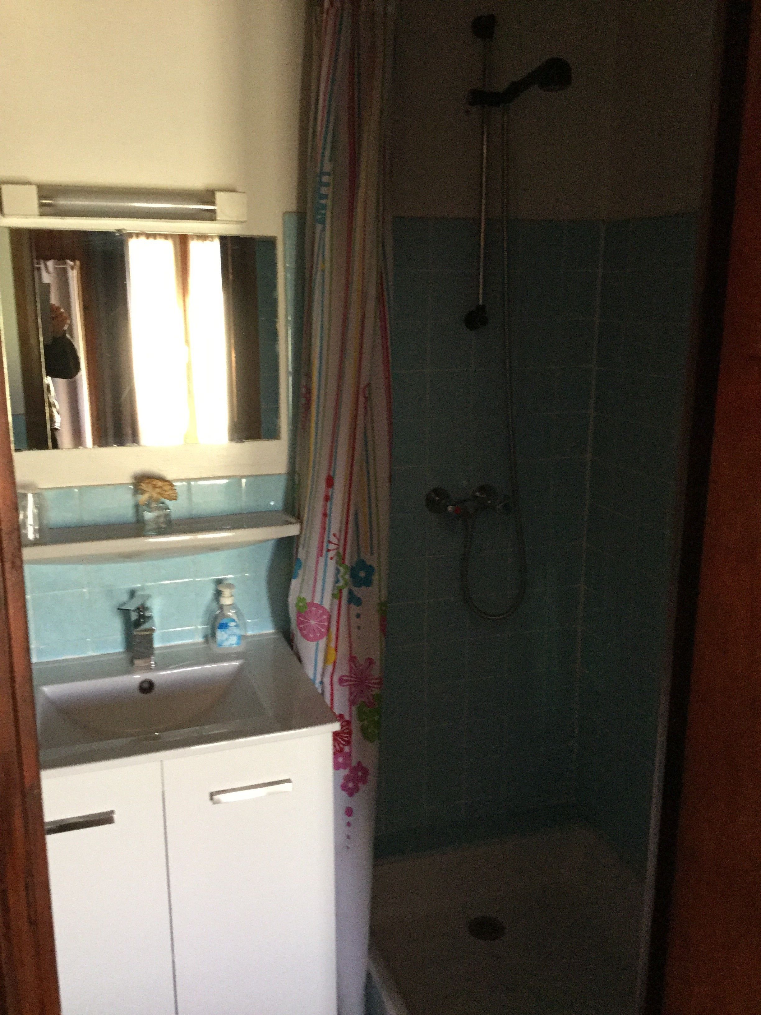 A bathroom with a shower, a sink with a mirror above it, and a toilet.