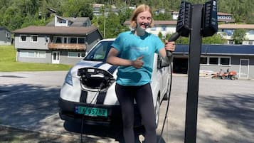 Ladestander til elbiler