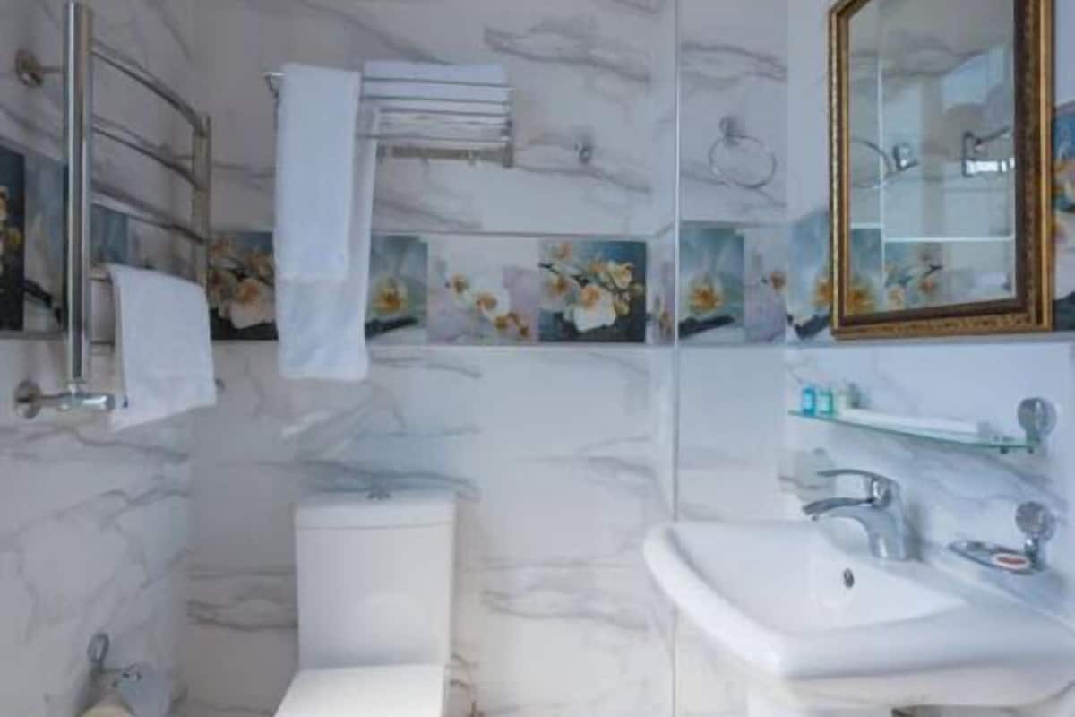 free toiletries, hair dryer, slippers, towels