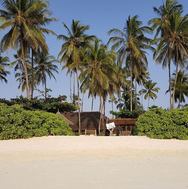 A beach with palm trees, a thatched-roof hut, and a signboard.
