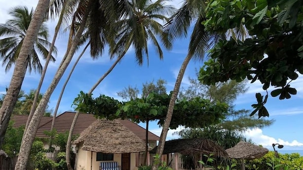 Un resort tropical con cabañas de techo de paja, palmeras y un cielo azul claro.