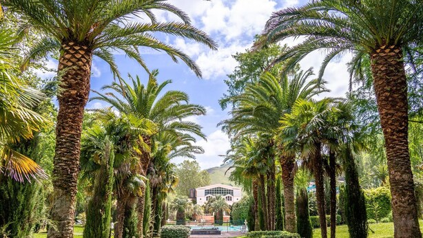 A pathway lined with palm trees leading to a building with a modern architectural design.