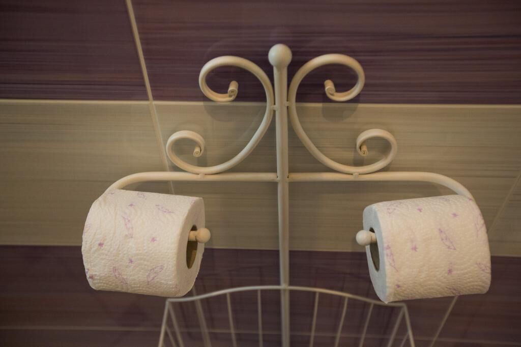 A metal rack with two rolls of toilet paper.
