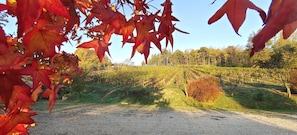 Exterior - La Valle (Giavera del Montello)