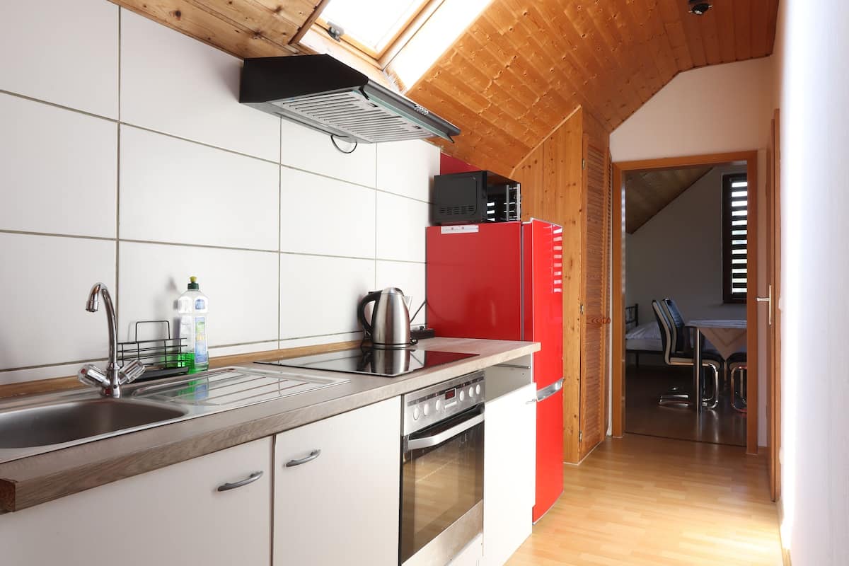 family apartment, 2 bedrooms, mountain view | private kitchen