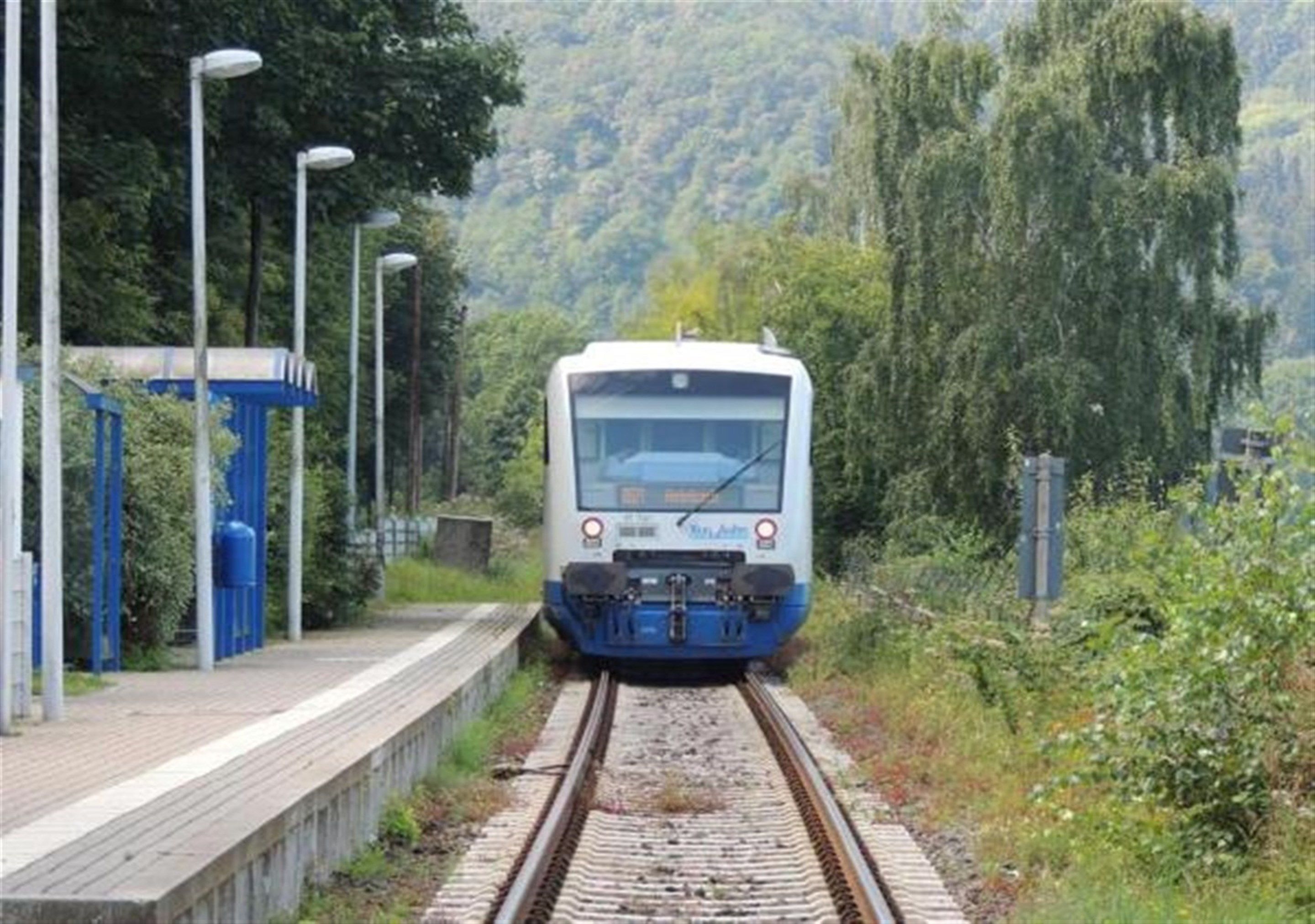 Un tren en el andén de una estación, con un paisaje de colinas boscosas al fondo.
