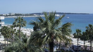 Kustgezicht met palmbomen, een strand en een jachthaven.