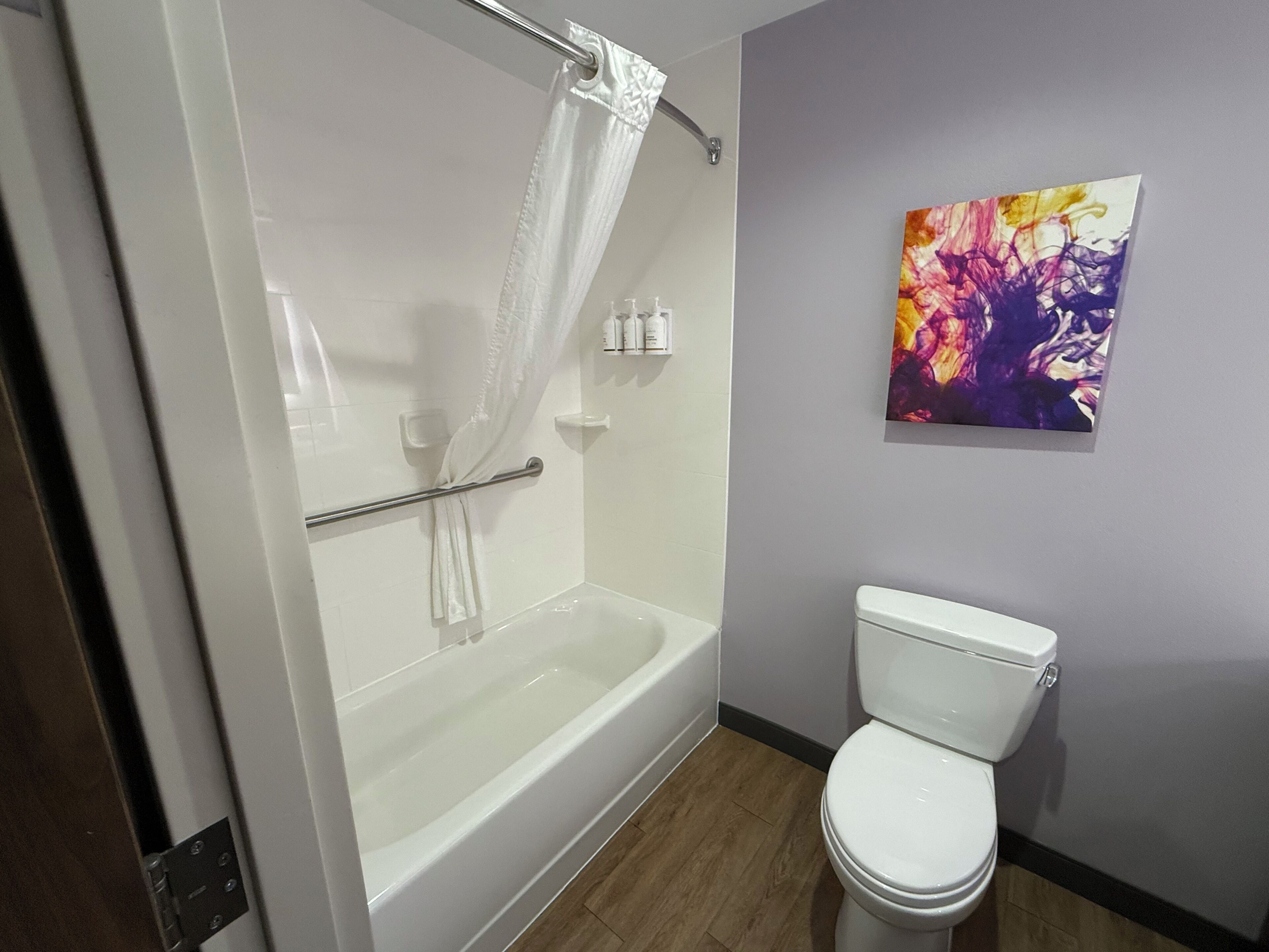 A bathroom with a bathtub, toilet, and a shower curtain.