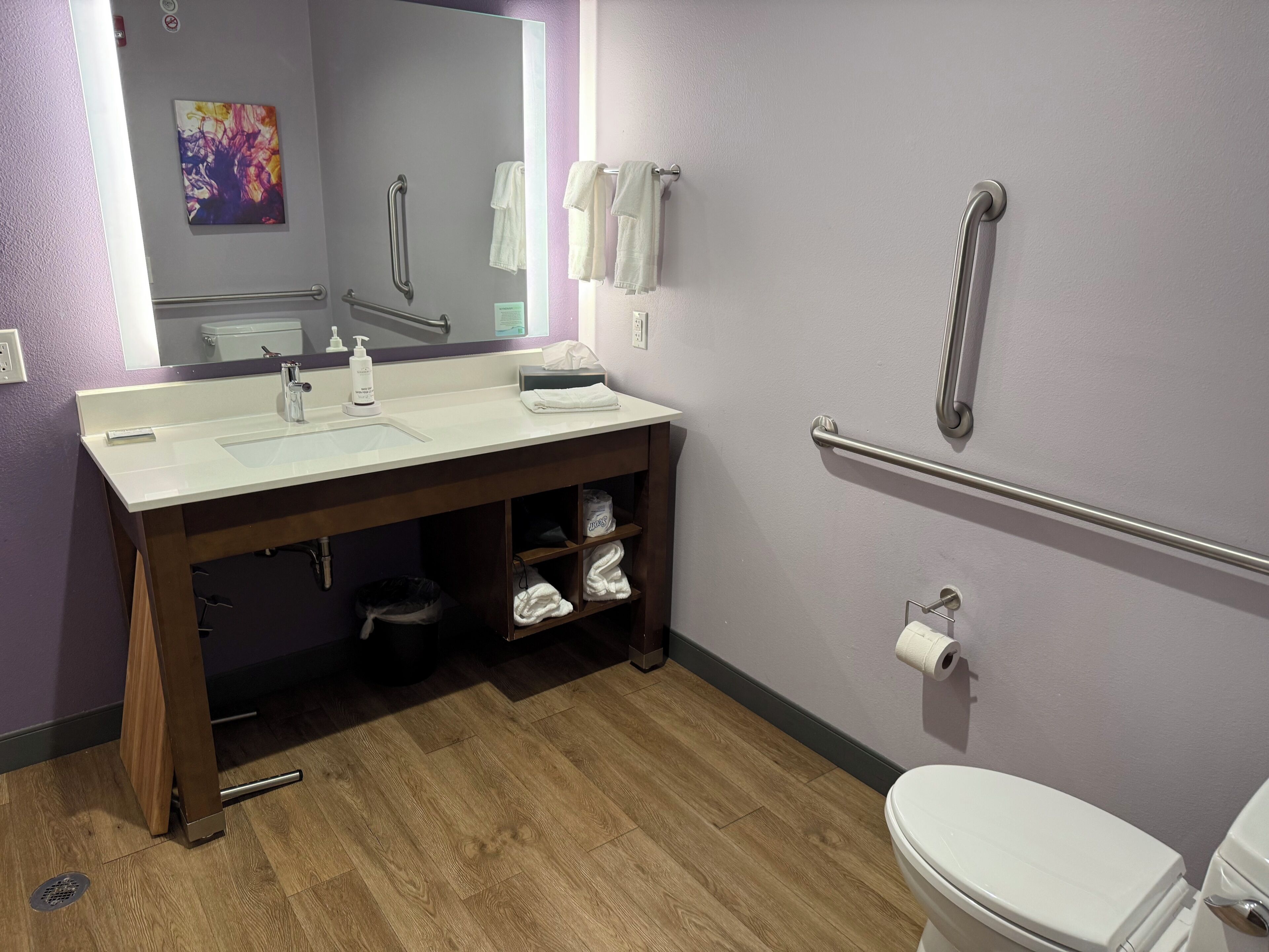 Een badkamer met een witte wastafel, spiegel, en toilet, houten vloer, en een handgreep aan de muur.