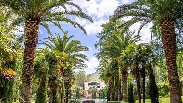 A pathway lined with palm trees leading to a building with a modern architectural design. - Cambo: Bright T2 with South Terrace, Wifi & Parking (Cambo-les-Bains)