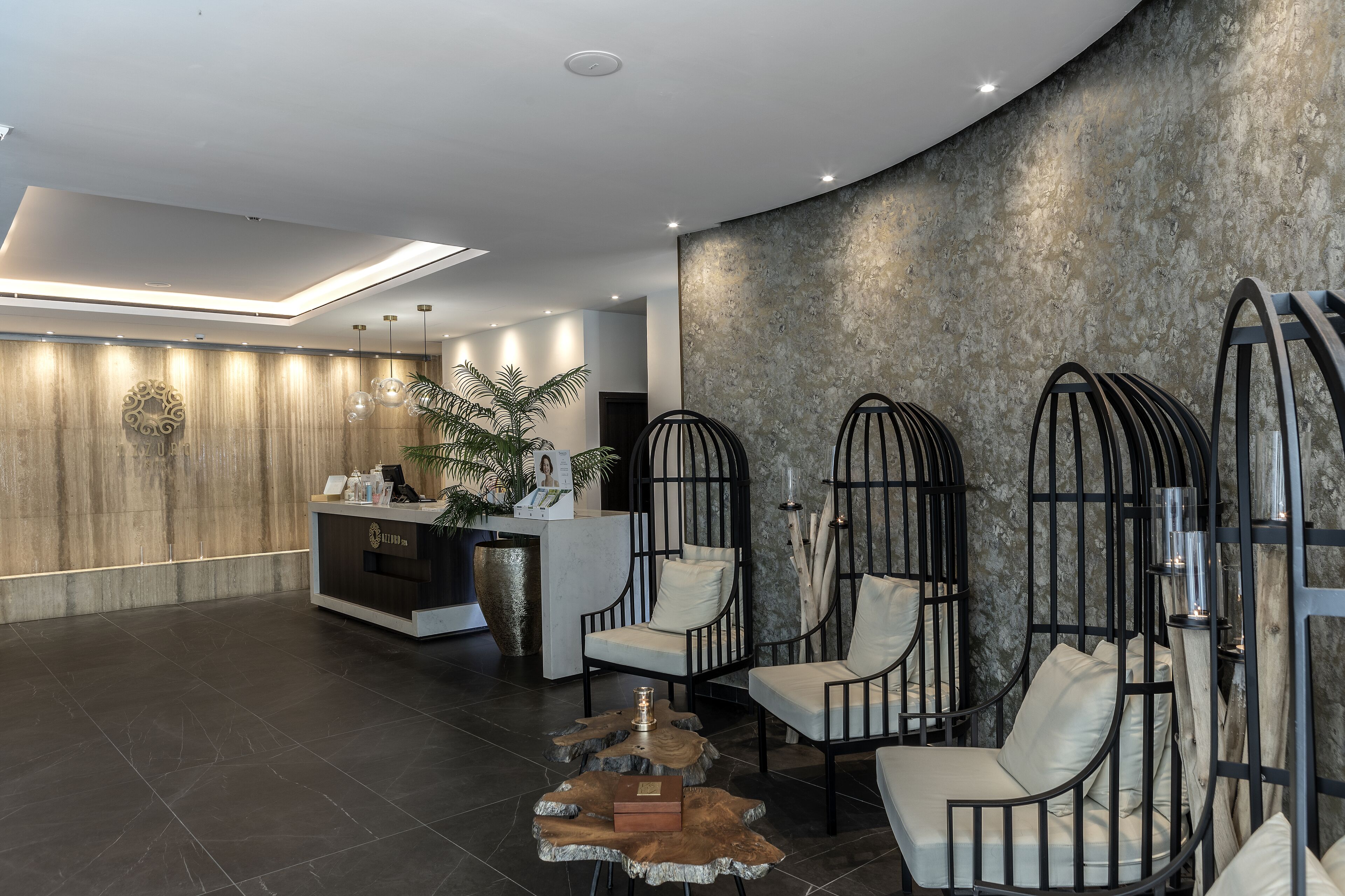 A modern reception area with a reception desk, seating area, and a large potted plant.