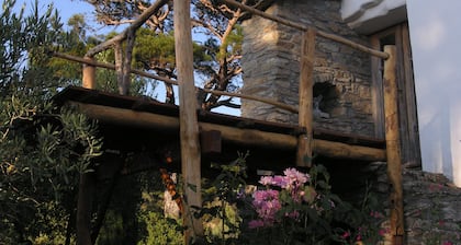 Ancienne ferme, grande cuisine ouverte, une chambre avec deux lits simples et une chambre avec un lit double dans le cabanon à cÎté de la maison; salle de bain avec WC et douche