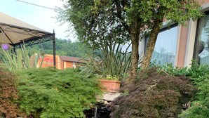 Um pequeno lago com pedras e plantas aquáticas, rodeado por diversos tipos de vegetação e uma ponte de madeira.
