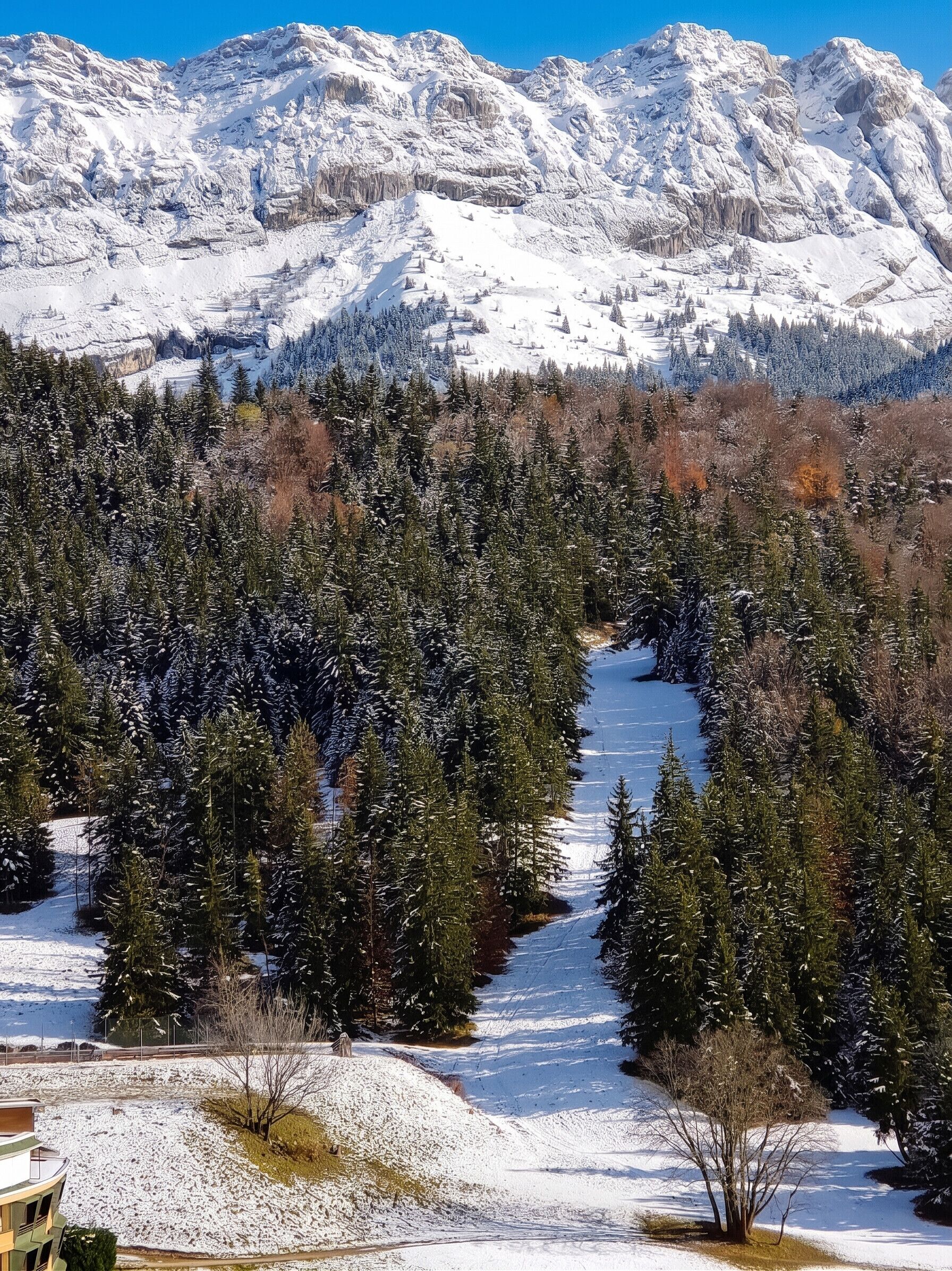 Een besneeuwd berglandschap met dichte altijdgroene bossen en een heldere lucht.