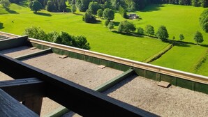Blick aus einem Fenster auf eine grüne Landschaft mit Bäumen und fernen Bergen.