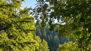 Ein gepflasterter Parkplatz mit Blick auf ein grünes Feld und Bäume.