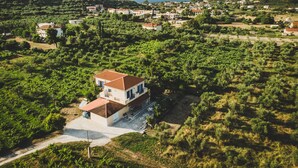 A single-story house with a red-tiled roof, surrounded by lush greenery and a hilly landscape. - Apartment Tsilivi Blue Vista (Zakynthos)