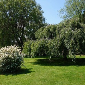 Garden - Footpath Cottages at Reynolds Farm (Canterbury)