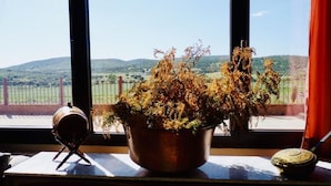 A window with a view of a rural landscape, a metal pot with dried plants, and a small metal object on the windowsill. - Yeguada farm El Corral Delconde (Fernán Caballero)