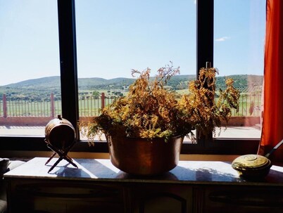 Yeguada farm El Corral Delconde