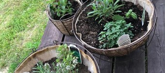 Tipi campsite 6 Caribou Trail Wagon Camp