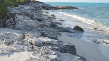 海灘、躺椅、沙灘巾