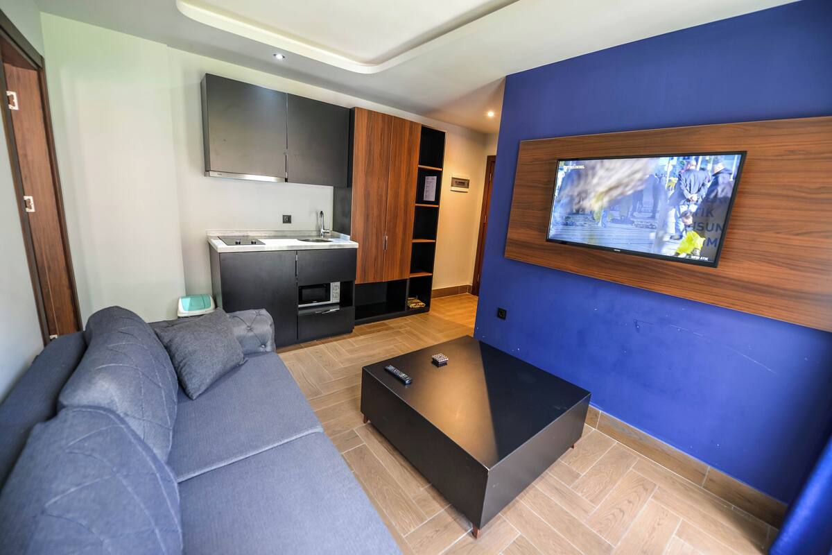 A modern living room with a grey sofa, a black coffee table, and a TV mounted on a blue wall.