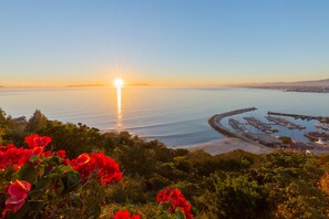 Beach/ocean view - Celtic Manor Boutique Guest House (Cape Town)