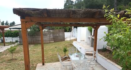 No1 Dimitra' s Country House in forest and sea