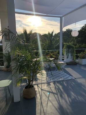 Terraza o patio