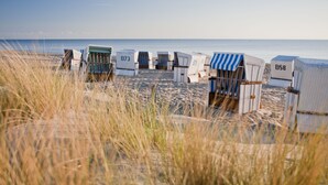 Beach chairs with numbers on them, arranged on the sand. - Kamphof Usedom Ferienanlage (Loddin)