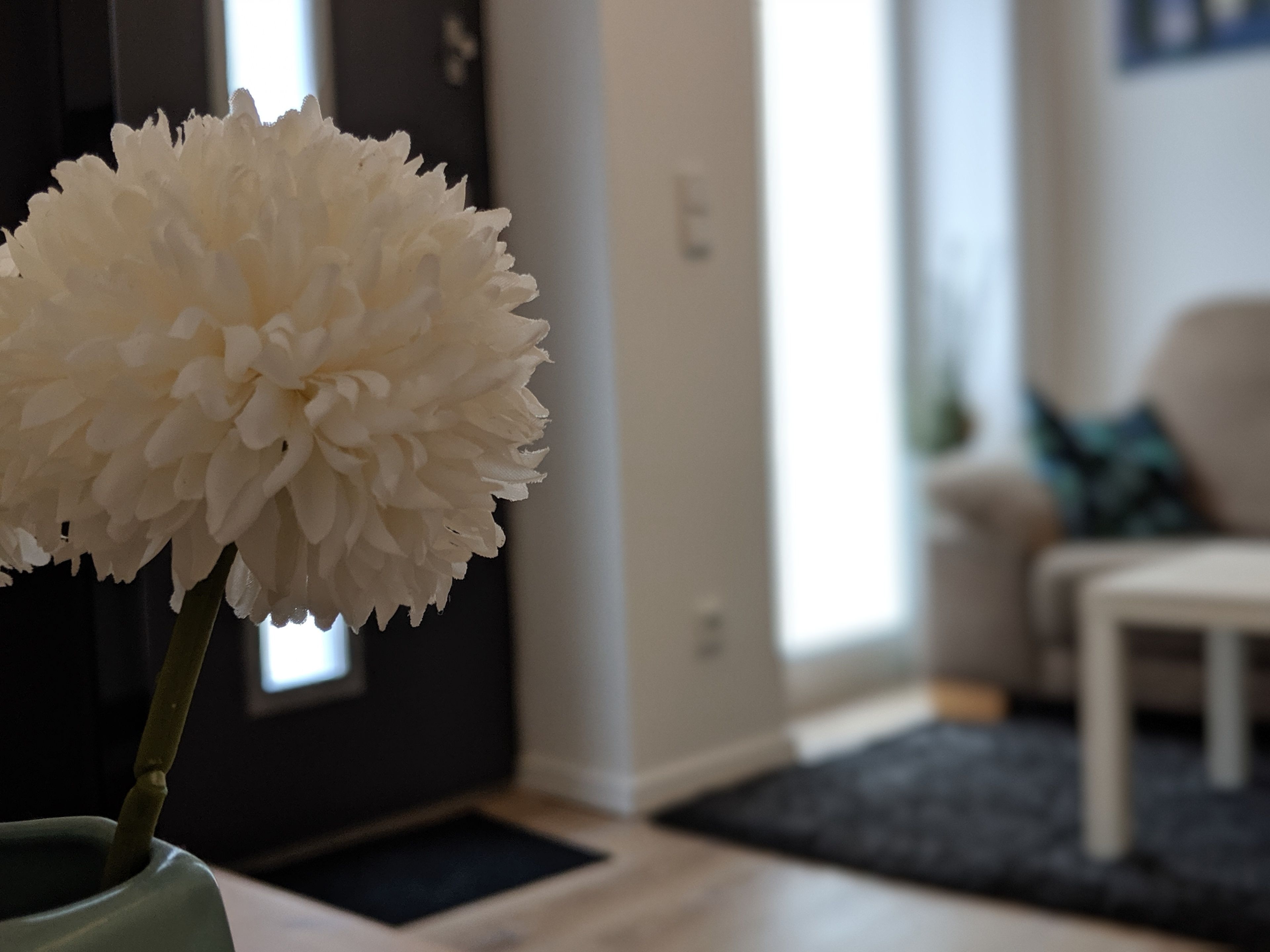 Eine weiße Blume in einer Vase in einem modernen Wohnzimmer mit dunklem Boden, einem weißen Sofa und einem kleinen Tisch.