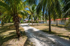 Property grounds - Casa Tortuga - private beachfront villa with pool - Call Cayman Villas! (Frank Sound)