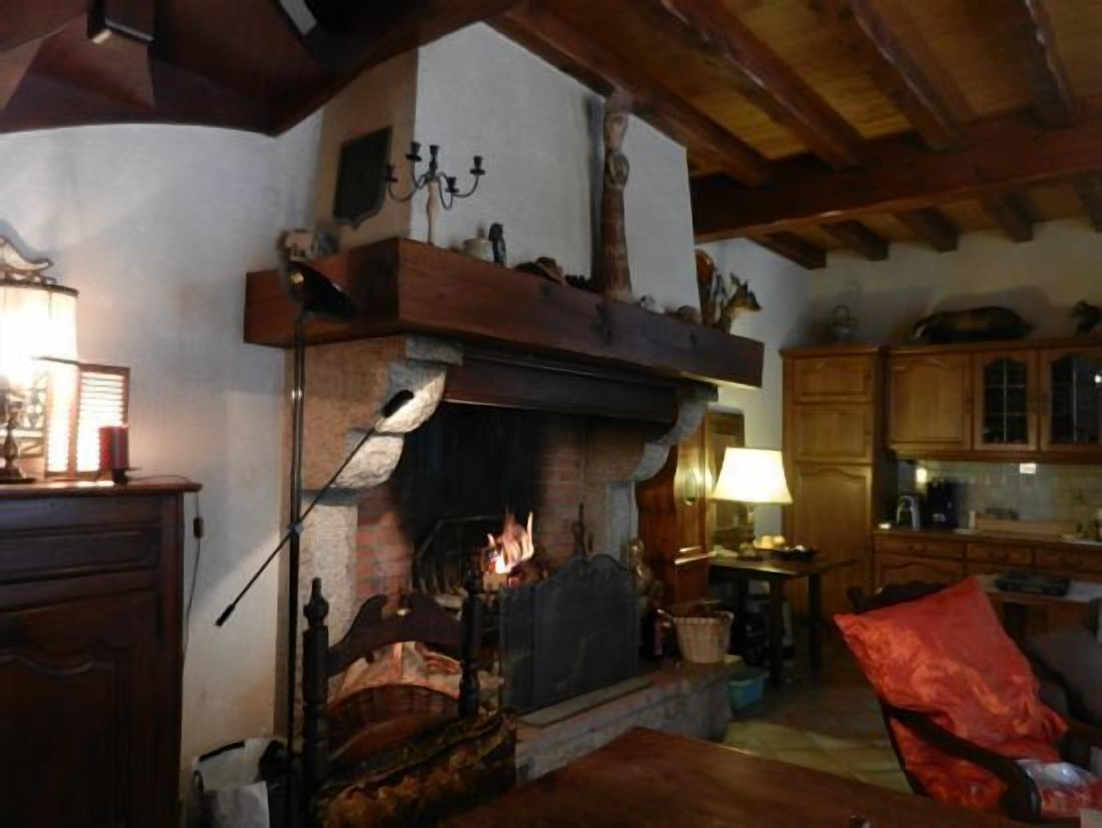 智能电视、壁炉、DVD 播放器、书