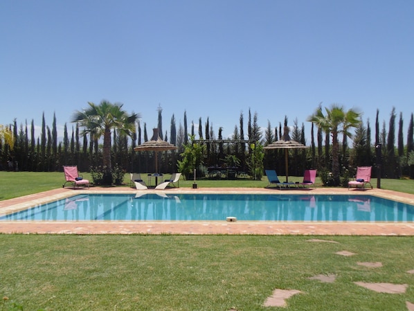 Outdoor pool, pool umbrellas, pool loungers