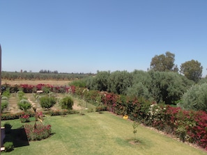 Deluxe Villa, Pool View | Garden view