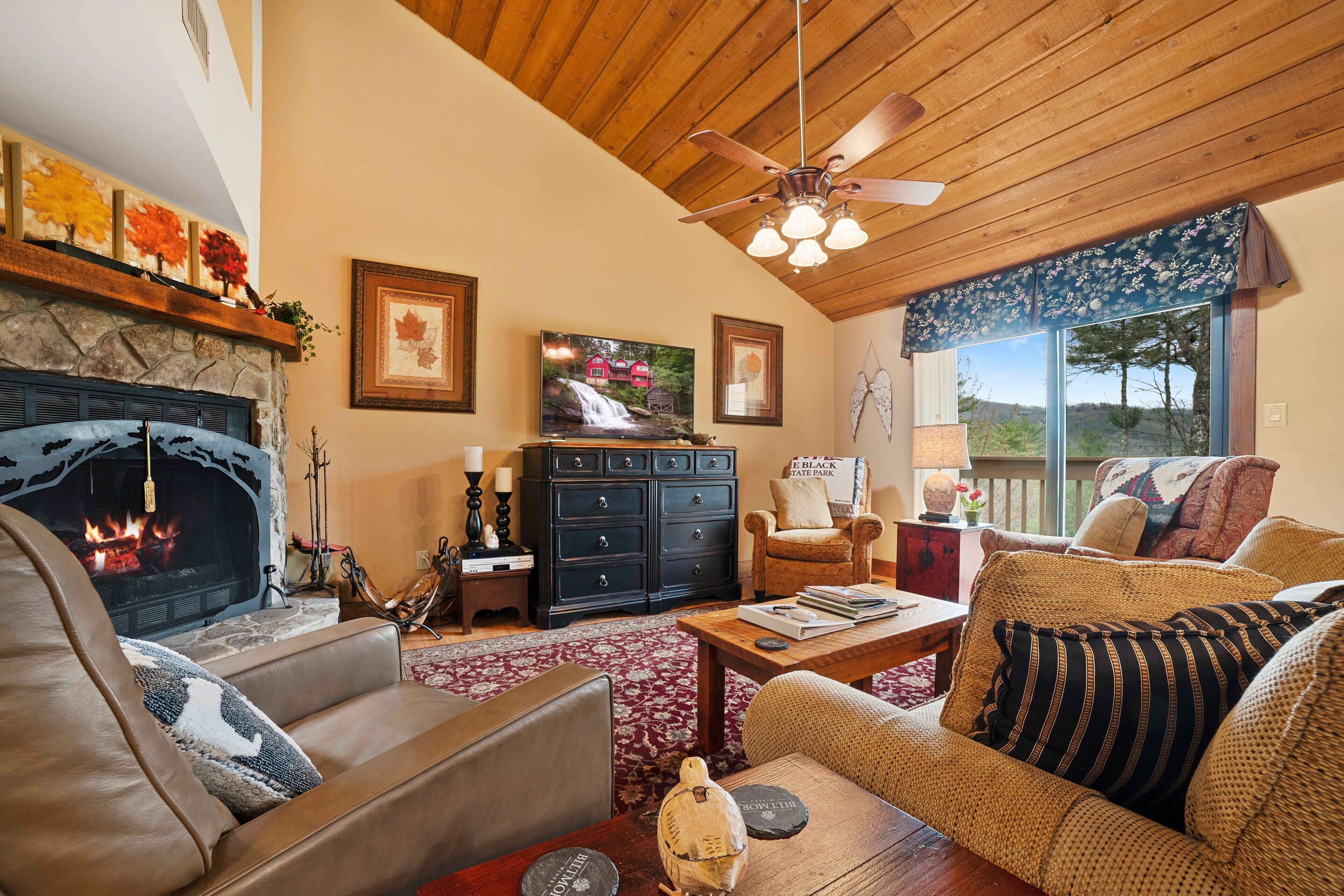 TV, fireplace