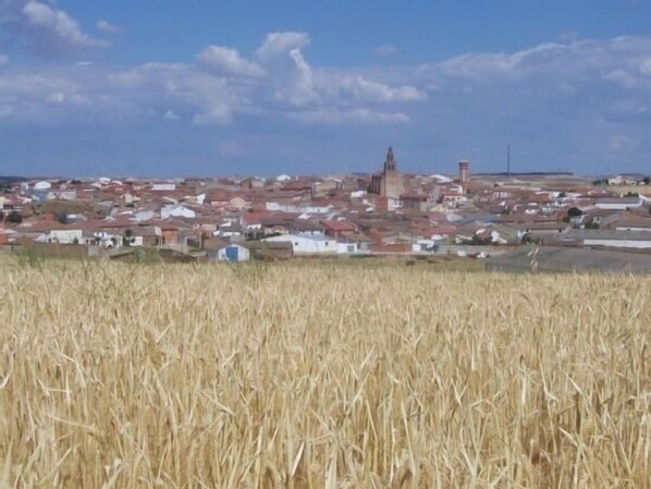 Eine Stadt mit einer markanten Kirche und umliegenden Wohngebäuden.