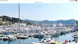 Un puerto deportivo con varias embarcaciones amarradas, incluyendo veleros y lanchas.