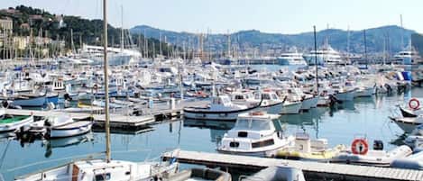 Un port de plaisance où sont amarrés différents types de bateaux, notamment des voiliers et des bateaux à moteur.