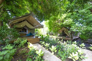Garden view - Libelula Lounge & Lodgings (Tempate)