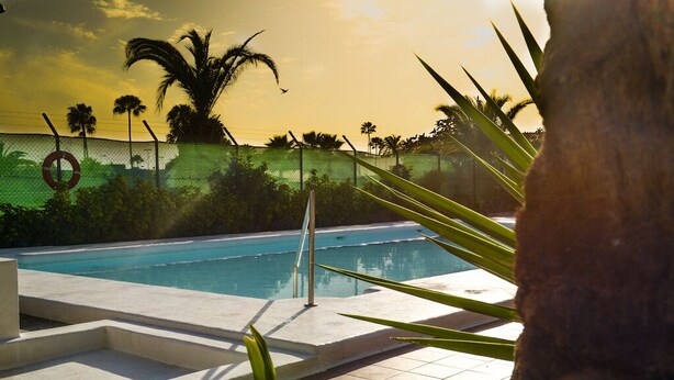 Una piscina con cubierta de baldosas, rodeada de palmeras y una valla.
