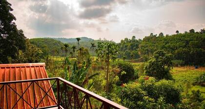 Four Ensuite Luxury Rooms with Private Balconies and Breathtaking Views