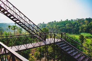 Vista da propriedade