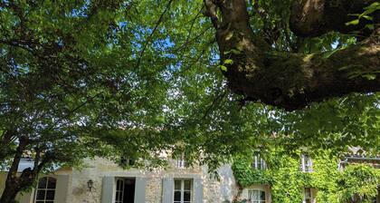 Charming stone house Charming Girondine house