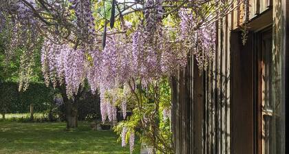 Charming stone house - Maison girondine de charme