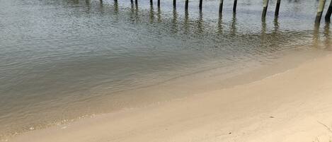Plage, chaises longues